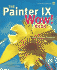 The Painter IX Wow! Book (Wow! )
