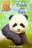 Animal Ark 38: Panda in the Park