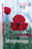 Understanding Morphology: Second Edition (a Hodder Education Publication)