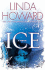 Ice: a Novel