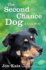 The Second-Chance Dog: a Love Story