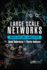 Large Scale Networks