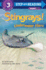 Stingrays! : Underwater Fliers