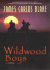 Wildwood Boys: a Novel