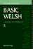Basic Welsh: a Grammar and Workbook (Grammar Workbooks)