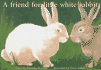 A Friend for Little White Rabbit (New Pm Story Books)