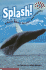 Splash! a Book About Whales and Dolphins (Level 3)