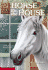 Horse in the House (Animal Ark Series #26)