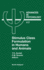 Stimulus Class Formation in Humans and Animals: Volume 117
