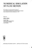 Numerical Simulation of Fluid Motion