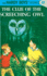 The Clue of the Screeching Owl (Hardy Boys (Hardcover))