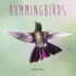 Hummingbirds (Penguin Core Concepts)