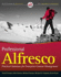 Professional Alfresco: Practical Solutions for Enterprise Content Management