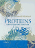 Proteins: Structure and Function