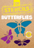 Fun With Butterflies Stencils (Dover Stencils)