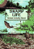 Swamp Life Sticker Activity Book (Dover Little Activity Books)