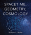 Spacetime, Geometry, Cosmology Format: Pb-Trade Paperback