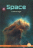 Space: a Chapter Book