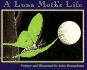 A Luna Moth's Life (Nature Upclose)