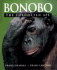 Bonobo: the Forgotten Ape