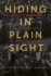 Hiding in Plain Sight: the Pursuit of War Criminals From Nuremberg to the War on Terror