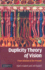 Duplicity Theory of Vision