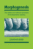 Morphogenesis: the Cellular and Molecular Processes of Developmental Anatomy (Developmental and Cell Biology Series, Series Number 23)