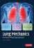 Lung Mechanics: an Inverse Modeling Approach