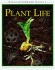 Plant Life (Straightforward Science)
