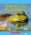 American Bullfrogs (Nature's Children)