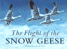 The Flight of the Snow Geese