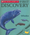 First Discovery Whales
