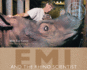 Emi and the Rhino Scientist (Scientists in the Field)