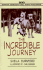 The Incredible Journey