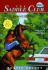 Summer Rider (the Saddle Club, Book 68)