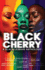 Black Cherry a Black Lesbian Anthology