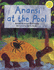 Anansi at the Pool (Longman Book Project)