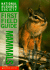 Mammals (National Audubon Society First Field Guide)