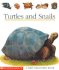 Turtles & Snails (First Discovery)