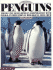 Penguins (Grades 1-3)