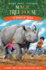 Rhinos at Recess (Magic Tree House, 37)