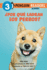 Por Qu Ladran Los Perros? (Why Do Dogs Bark? Spanish Edition)