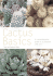 Cactus Basics: a Comprehensive Guide to Cultivation and Care