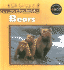 Bears (in the Wild)