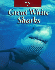 Great White Sharks (the Untamed World)