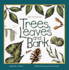 Trees, Leaves, and Bark