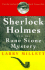 Sherlock Holmes and the Rune Stone Mystery-BRAND NEW!