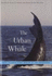 The Urban Whale: North Atlantic Right Whales at the Crossroads