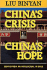 China's Crisis, China's Hope