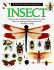 Insect (Eyewitness Books)